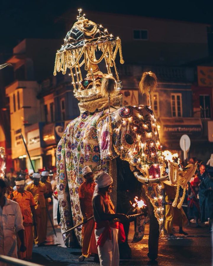 Karanduwa Perahera | ArTravele | Agence de voyages de luxe au Sri Lanka | Forfaits touristiques sur mesure