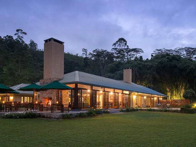 Norwood | ArTravele | Agence de voyages de luxe au Sri Lanka | Forfaits touristiques sur mesure