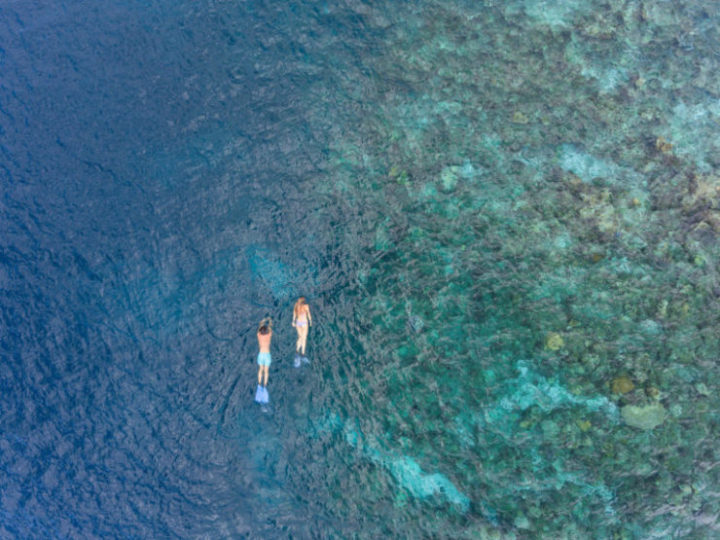 Snorkelling1 | ArTravele | Agence de voyages de luxe au Sri Lanka | Forfaits touristiques sur mesure