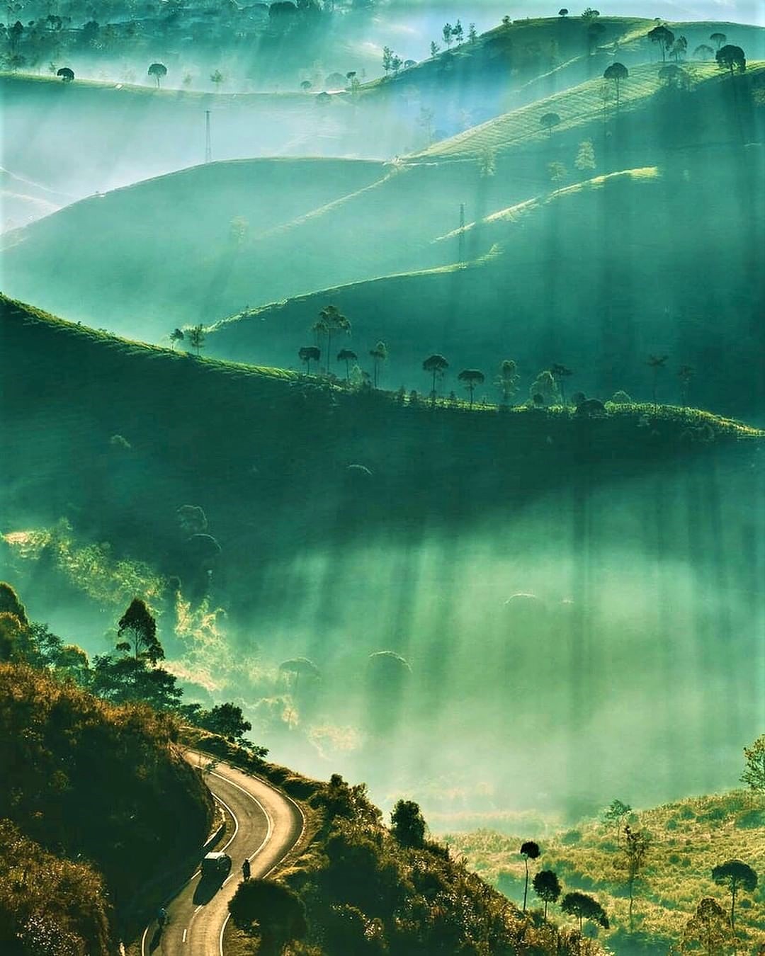 Artravele Mountains | ArTravele | Agence de voyages de luxe au Sri Lanka | Forfaits touristiques sur mesure