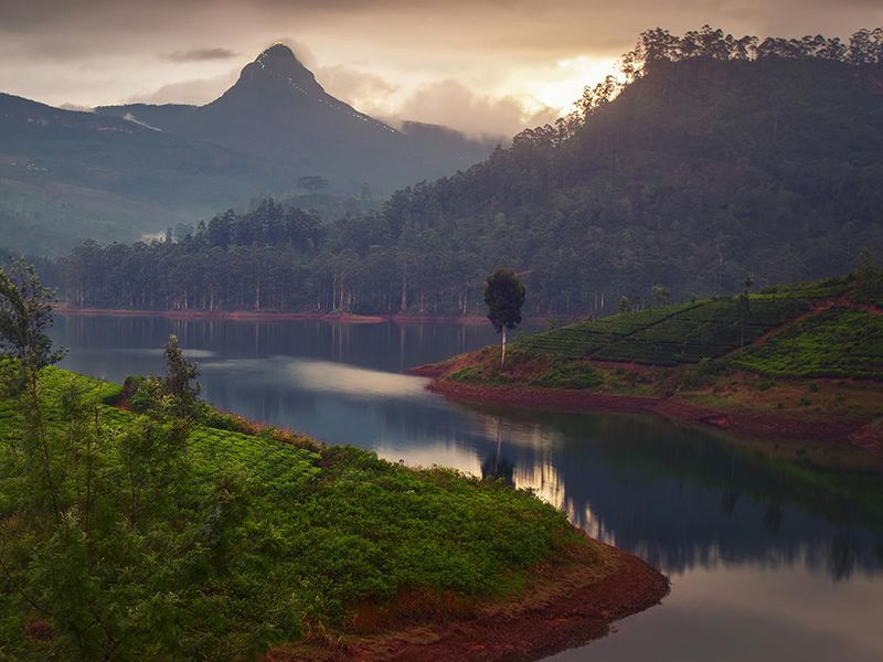 Adams Peak | ArTravele | Agence de voyages de luxe au Sri Lanka | Forfaits touristiques sur mesure