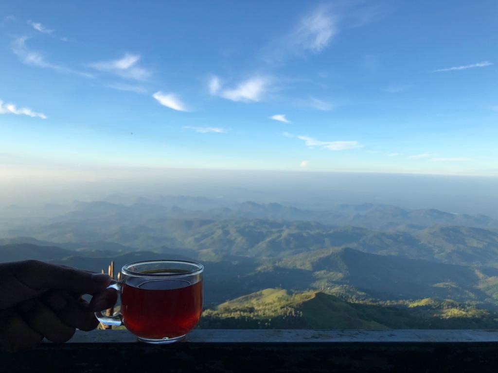 Tea Cup | ArTravele | Agence de voyages de luxe au Sri Lanka | Forfaits touristiques sur mesure