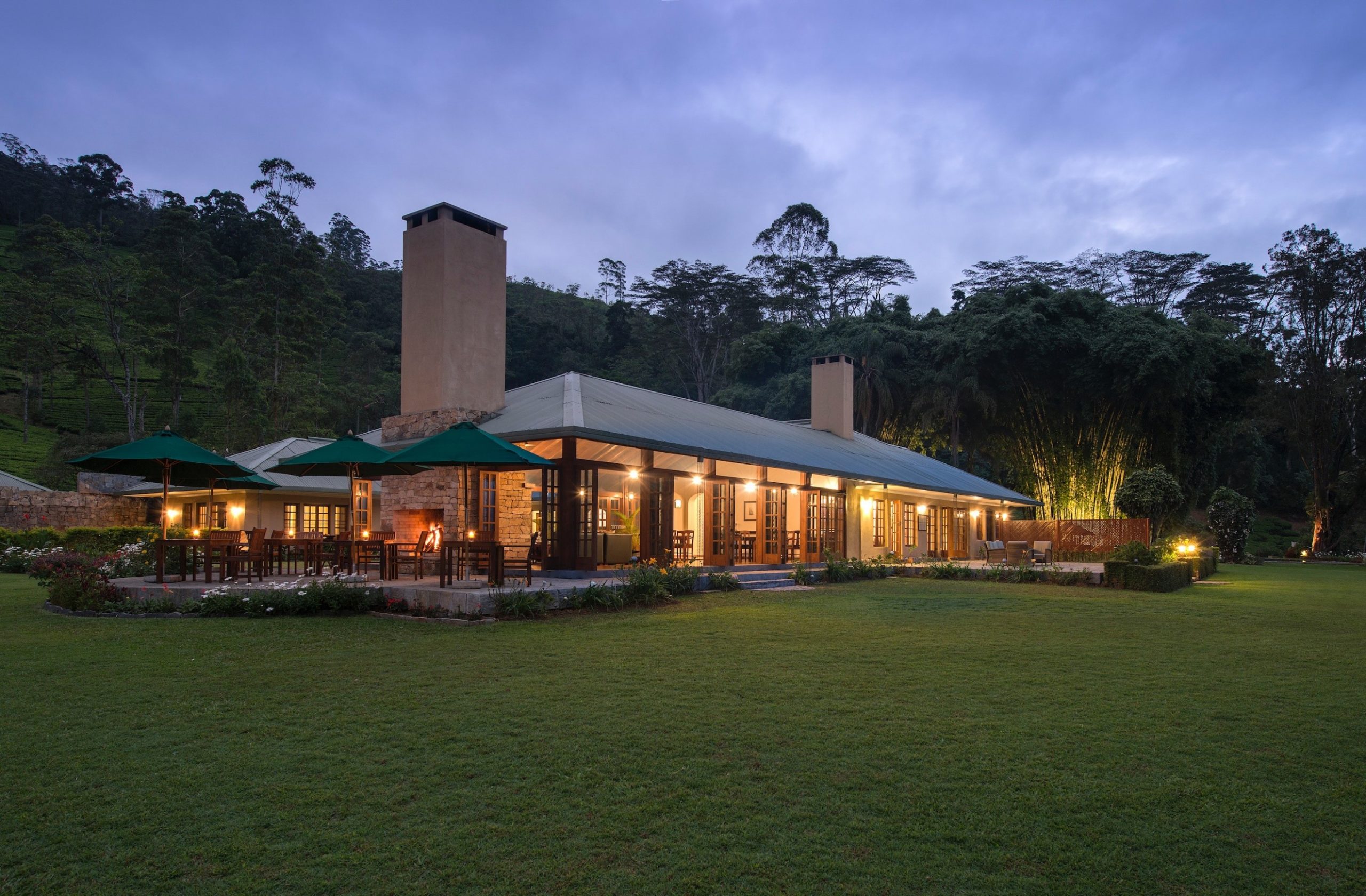 Tea Trails | ArTravele | Agence de voyages de luxe au Sri Lanka | Forfaits touristiques sur mesure