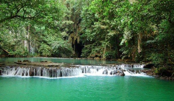 Forest bathing to heal yourself